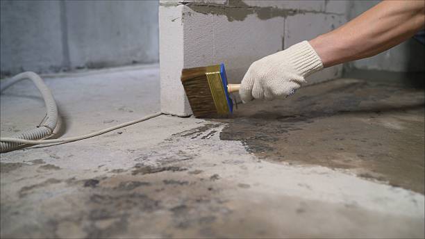 Top rated local Wet Basement Repair specialists in Woodlyn, PA